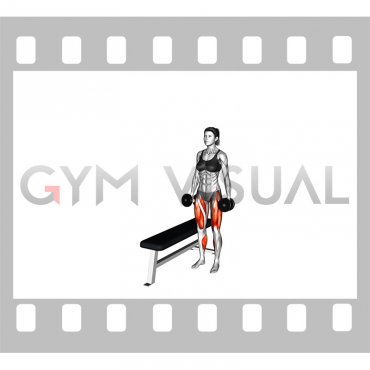 Dumbbell Lateral Step-up (female)