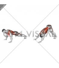 Bodyweight Front Plank to Downward Dog