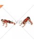 Bodyweight Front Plank to Downward Dog