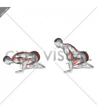 Push-up in Child Pose