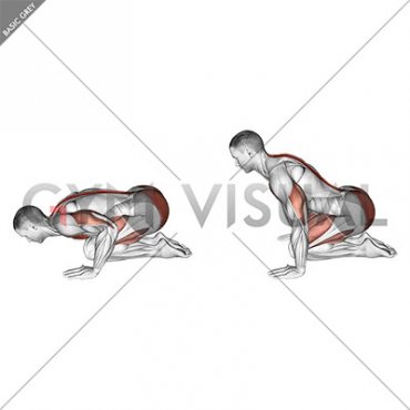 Push-up in Child Pose