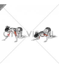 Kneeling Staggered Push-up (female)