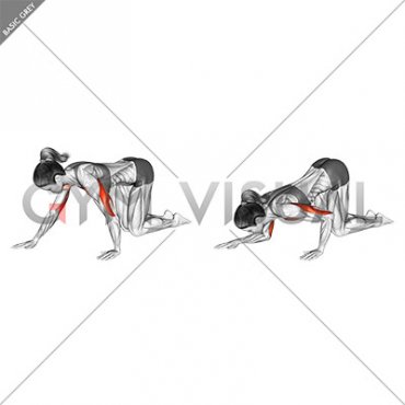 Kneeling Staggered Push-up (female)