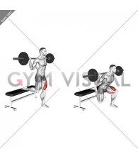 Barbell Single Leg Split Squat