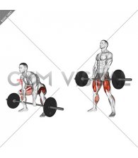 Barbell Sumo Deadlift