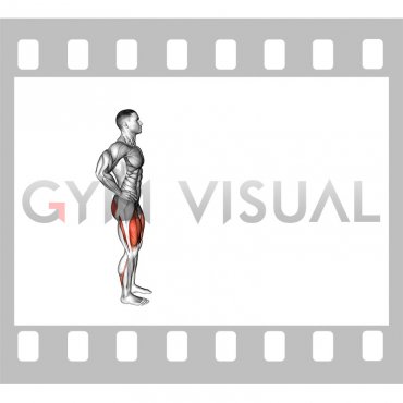 Bodyweight Forward Lunge (Smaller Stance Upright Torso)
