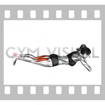 Bodyweight Lying Legs Curl (female)