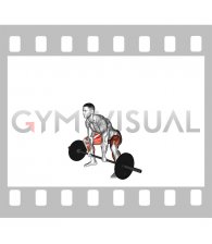Barbell Paused Sumo Deadlift