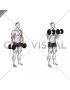 Dumbbell Standing Biceps Curl