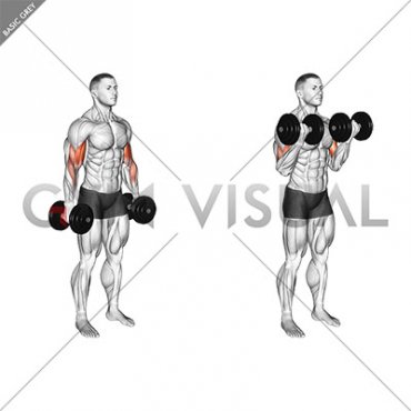 Dumbbell Standing Biceps Curl