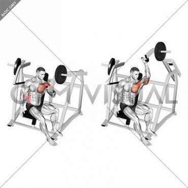 Lever One Arm Incline Chest Press (plate loaded)