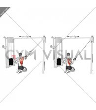 Cable Kneeling Single Lat Pulldown
