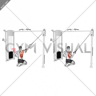 Cable Kneeling Single Lat Pulldown
