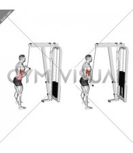 Cable Reverse-grip Pushdown