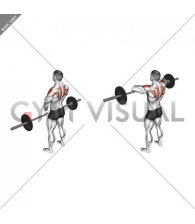 Barbell Upright Row (version 3)