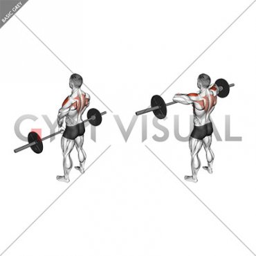 Barbell Upright Row (version 3)