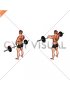 Barbell Upright Row (version 3)
