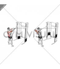 Cable Standing Face Pull