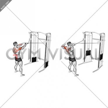 Cable Standing Face Pull