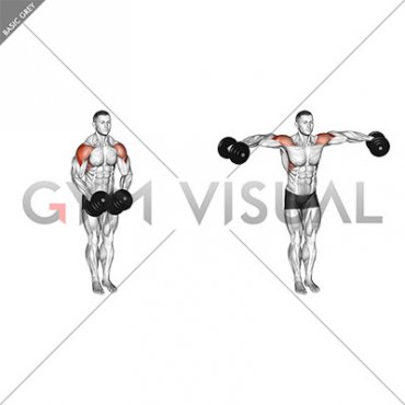 Dumbbell Standing Bent Arm Lateral Raise (male)