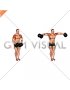 Dumbbell Standing Bent Arm Lateral Raise (male)