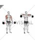 Barbell Shoulder Grip Upright Row (male)