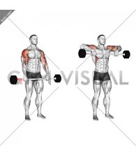 Barbell Shoulder Grip Upright Row (male)