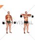 Barbell Shoulder Grip Upright Row (male)