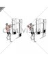 Cable Standing Rear Delt Row (with rope)