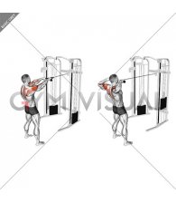 Cable Standing Rear Delt Row (with rope)