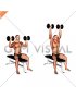 Dumbbell Bench Seated Press
