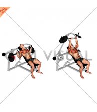 Lever Incline Chest Press (plate loaded)