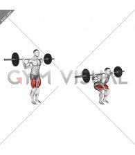 Barbell Narrow Stance Squat (male)