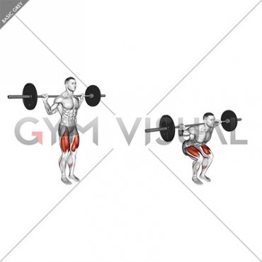 Barbell Narrow Stance Squat (male)