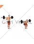 Barbell Narrow Stance Squat (male)