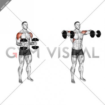 Dumbbell Bent Arm Lateral Raise (male)