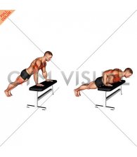 Incline Push-Up (on bench) (male)