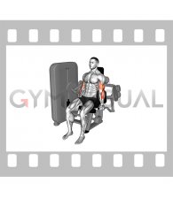 Lever Biceps Curl