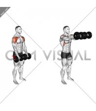 Dumbbell Front Raise