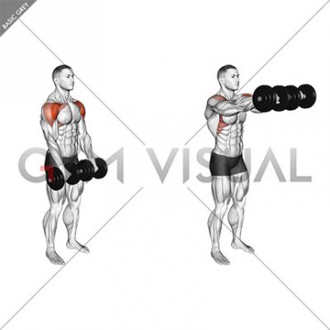 Dumbbell Front Raise