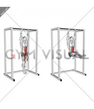Hanging Straight Leg Raise