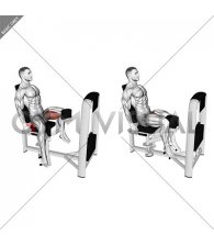 Lever Seated Hip Adduction