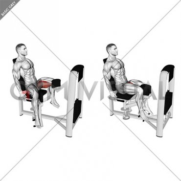 Lever Seated Hip Adduction