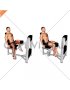 Lever Seated Hip Adduction