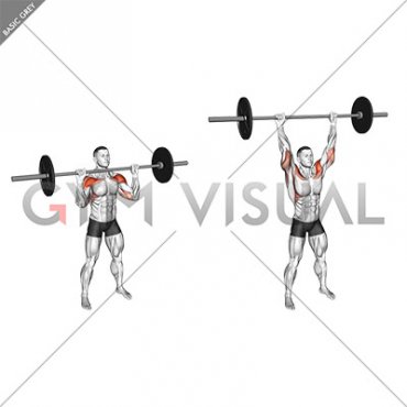 Barbell Standing Shoulders Press