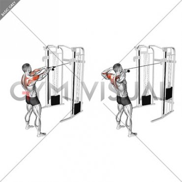 Cable Standing Face Pull (with rope)