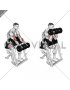 Dumbbell Reverse Preacher Curl