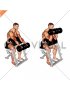 Dumbbell Reverse Preacher Curl