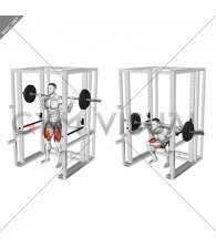 Barbell Anderson Squat