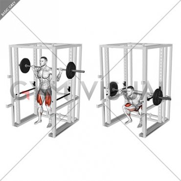 Barbell Anderson Squat